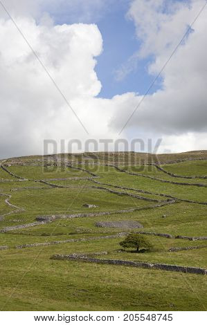 Stone walls at Malham Cove Yorkshire Dales England.