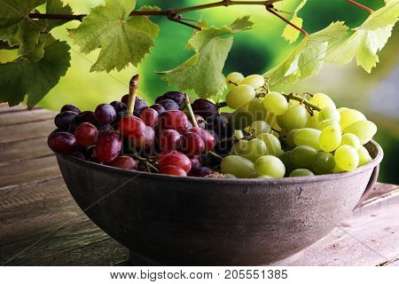Grapes on wooden table and grape leaves . Healthy fresh fruit wine grapes.