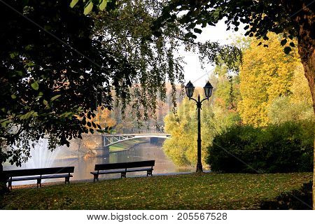 Autumn park. Next to the pond are some benches and a lantern.