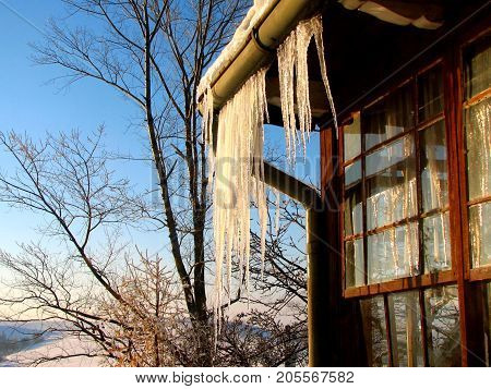 Long icicles hang on the old house.