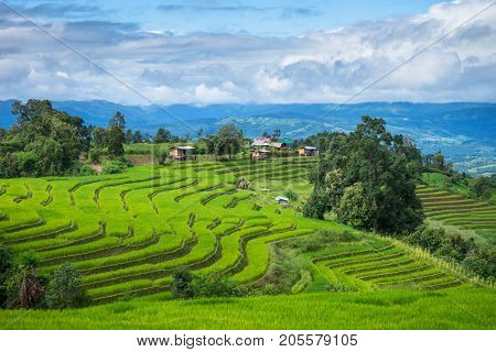 Green Terraces rice field scenery with morning blue sky cloudy at Baan Papongpieng Chiang Mai Thailand