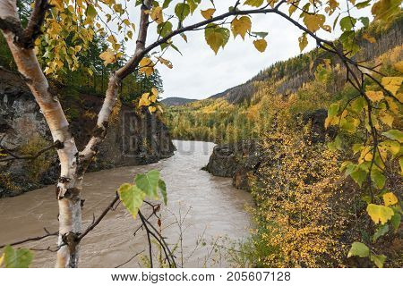 Autumn landscape in Kamchatka: mountain river flowing among roky mountain through the colorful forest. Kamchatka Peninsula Russian Far East Eurasia.