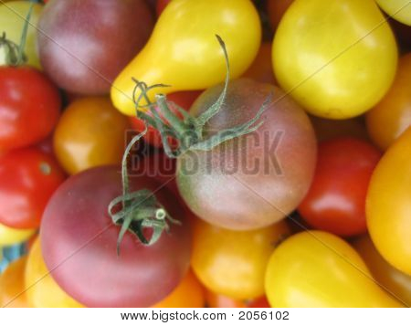 Hezká Cherry rajčata