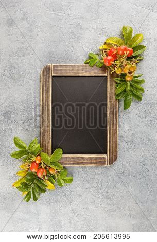 Black chalkboard and dogrose berry Autumn decorations. Top view space for text on the board