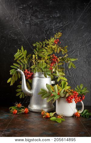 Rowan branches in metal old coffee pot and in cup and dogrose berries on dark background