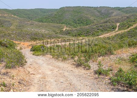 Trail In A Mountain With Forest And Vegetation