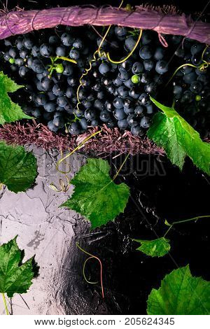 Red Wine Grapes In Voiolet Basket On Bllack Background. Top View. Copy Space.