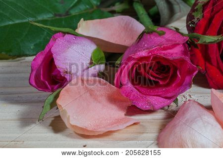 leaf of rosepink roses and red rose flowers in the pinewood table