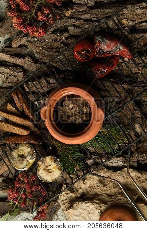 Dish On A Tree Bark