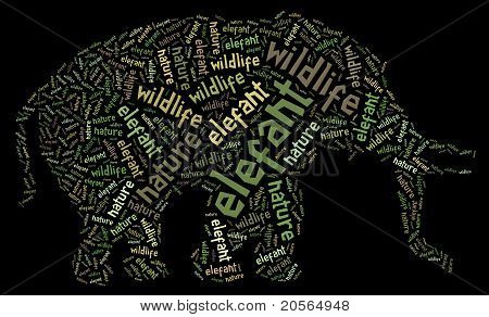 Wordcloud elefant