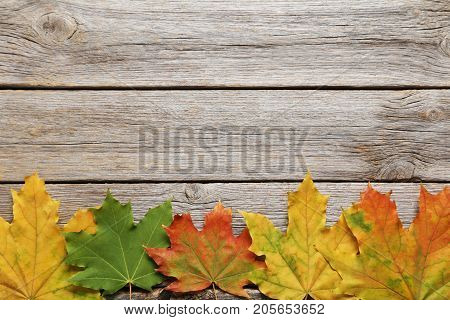 Autumn leafs on the grey wooden table