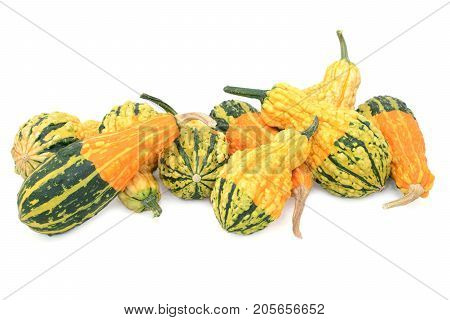 Assortment Of Orange, Green And Yellow Ornamental Gourds