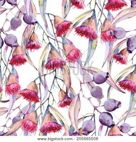 Background is a branch of gum flowers. Seamless pattern. Watercolor illustration