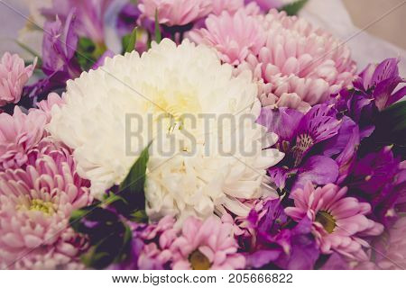 Purple And White Chrysanthemums And Asteria Bouquet Toned Image