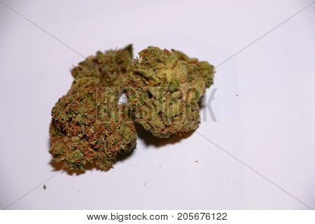 indica cannabis strain known as Charlie sheen used for medicinal purposes