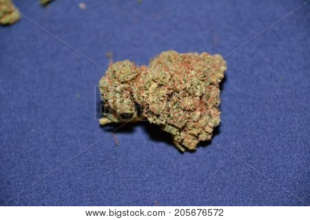 Charlie sheen is an indica strain of medical marijuana