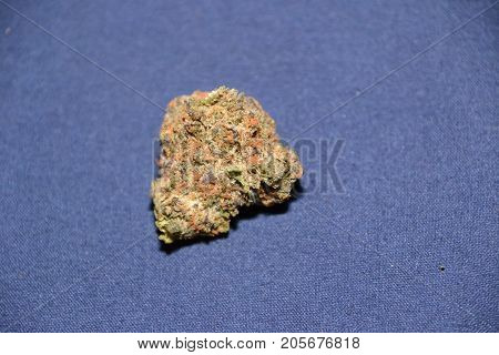 dosido is a hybrid medical cannabis strain