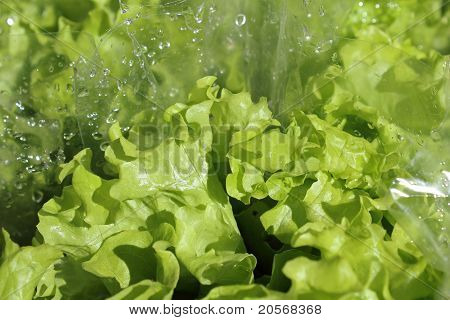 Ensalada verde