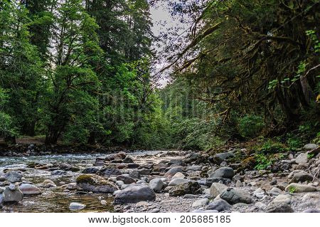 The Colitz River near the La Wis Wis Campground in the state of Washinton