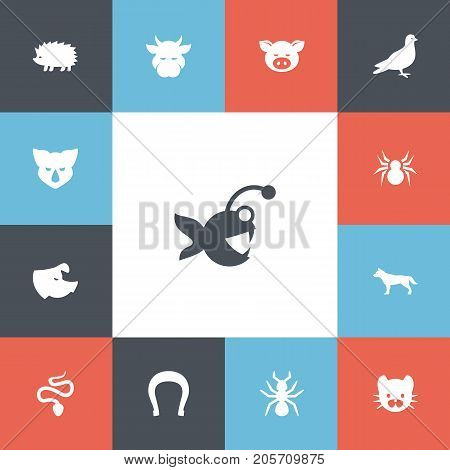 Set Of 13 Editable Zoology Icons. Includes Symbols Such As Kine, Sow, Rhinoceros And More