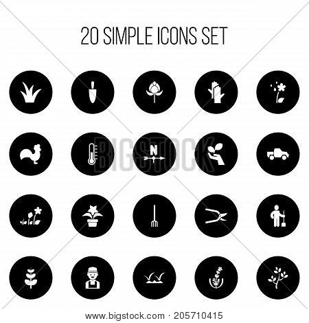 Set Of 20 Editable Agriculture Icons. Includes Symbols Such As Decorative, Lawn, Tulip And More