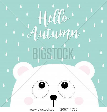 Hello autumn. Polar white little small bear cub head face looking up to rain drops. Big eyes. Cute cartoon baby character. Arctic animal collection. Flat design Blue background Isolated. Vector