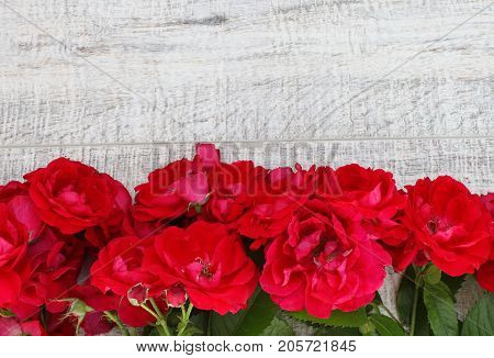 Red flowers on a wooden floor background.