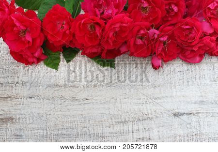 Red flowers on a wooden floor background.