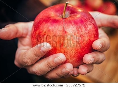 woman hand with big red apple. Autumn harvesting concept
