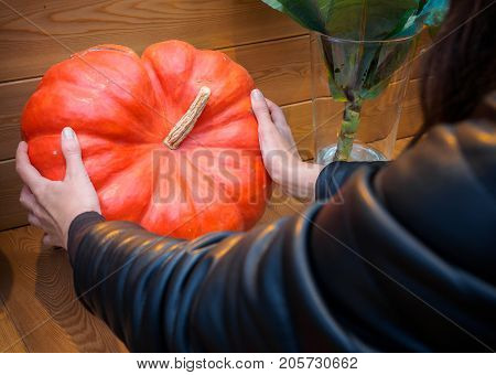 A woman chooses a pumpkin in the market. Orange pumpkin in the hands. Big pumpkin in woman hands. Yellow pumpkin holding hands. Beautiful big pumpkin