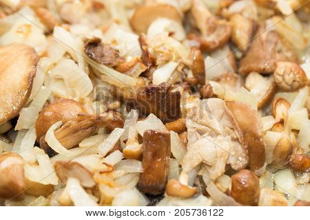 mushrooms and onions . photo in the studio