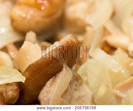 mushrooms and onions . photo in the studio