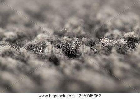 background of astrakhan . photo in the studio
