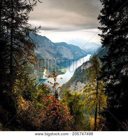 Colorful trees with mountains and lake Koenigsee. National Park Berchtesgaden.