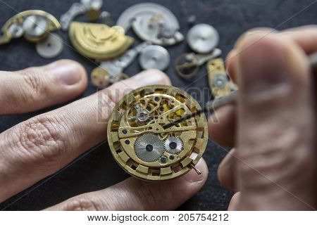Watchmaker is repairing the mechanical watches in his workshop