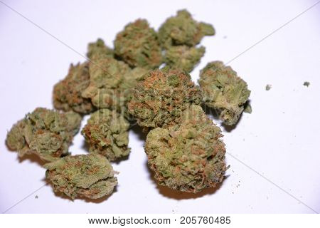 gelato is a hybrid medical marijuana strain