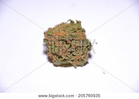 gelato is a hybrid medical marijuana strain