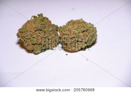 gelato is a hybrid medical marijuana strain