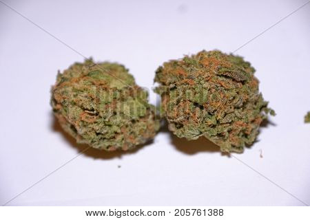gelato is a hybrid medical marijuana strain