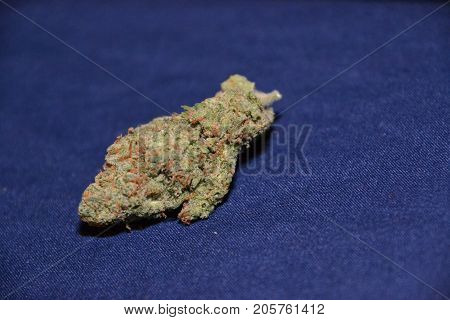 premium jack (cannabis cup award winner) is a sativa marijuana strain used for medical reasons