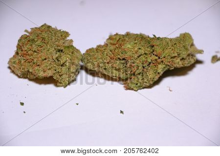 premium jack (cannabis cup award winner) is a sativa marijuana strain used for medical reasons
