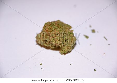 premium jack (cannabis cup award winner) is a sativa marijuana strain used for medical reasons