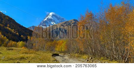 Autumn Woods Against The Background Of Snow Top