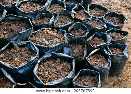 Soil texture. The soil bag color black for planting seed in it have loamy soil sand husk dry leaf and stone for planting trees. this image for agriculture concept.