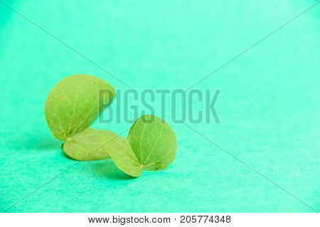 Indian Festival Dussehra , Indian Festival Dasara