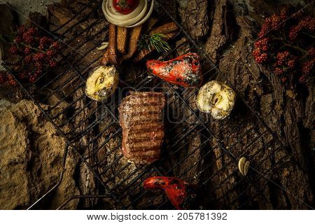 Dish On A Tree Bark
