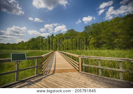 View of walkway in marshland landscape at Ontario's Royal Botanical Garden aka RBG during summer time