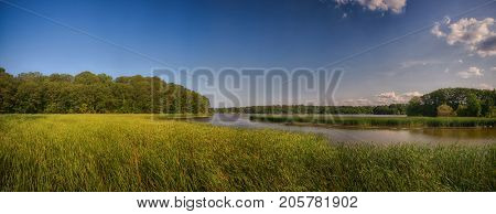 Panoramic view of marshland landscape in Ontario's Royal Botanical Garden aka RBG during summer time