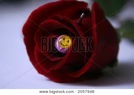 Uśmiechający się Rose