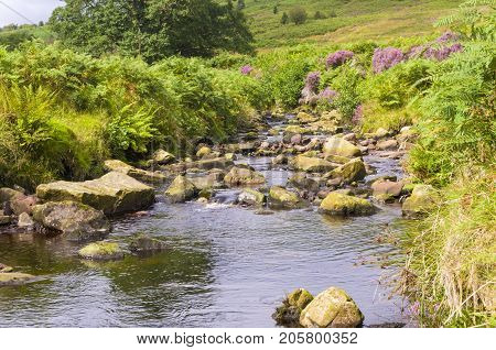 Wheeldale Gill
Wheeldale Gill is an ancient stream across the North York Moors